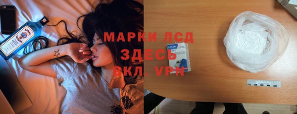 сатива Новокубанск