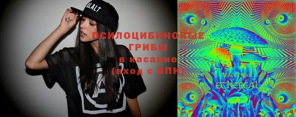 соль ск Нязепетровск