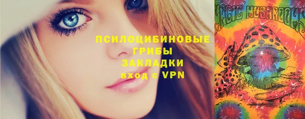 соль ск Нязепетровск