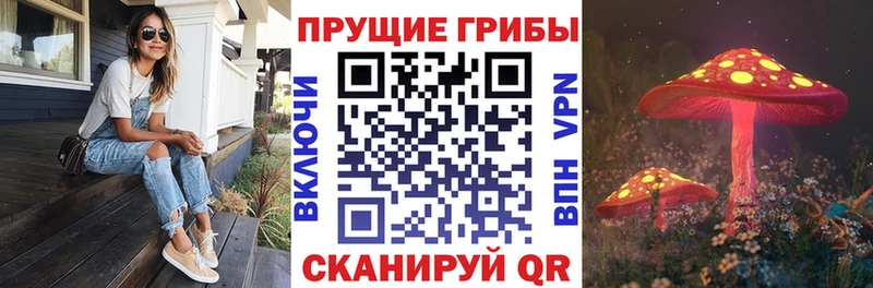 Галлюциногенные грибы Psilocybe  Купить закладки  Мурманск 